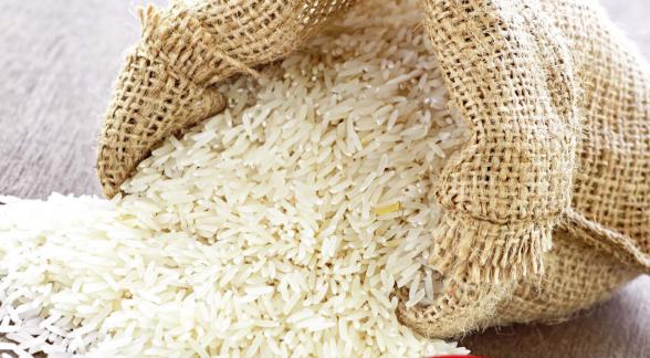 فروش فوق العاده برنج ایرانی اصل