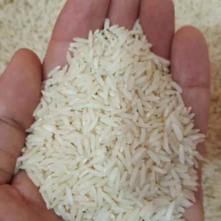 عرضه برنج طارم هاشمی بوجار شده