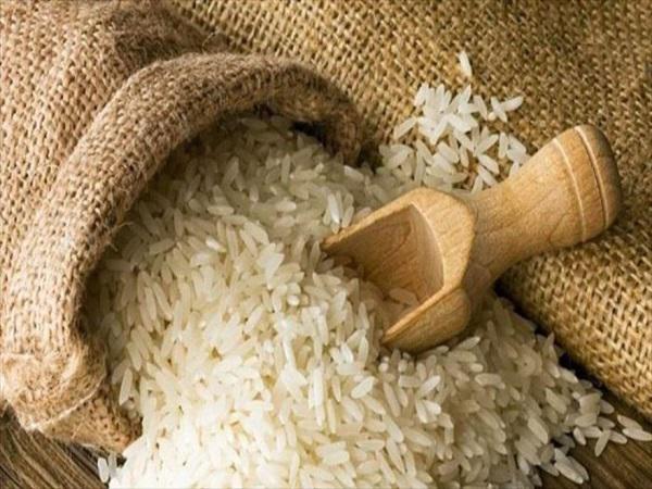 برنج طارم هاشمی دابو ۴۲ چه ویژگی دارد؟