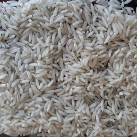 تولید کننده برنج طارم هاشمی محلی