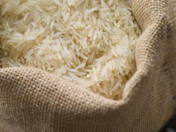 روش تشخیص برنج طارم هاشمی شمال