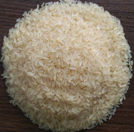 صادر کننده برنج طارم هاشمی آستانه اشرفیه