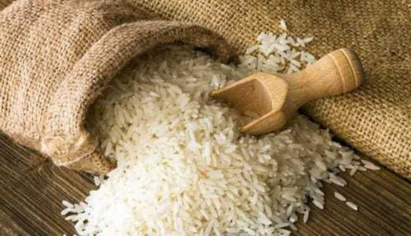 مشخصات ظاهری برنج طارم هاشمی آستانه اشرفیه