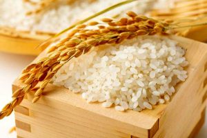 فروش برنج اینترنتی