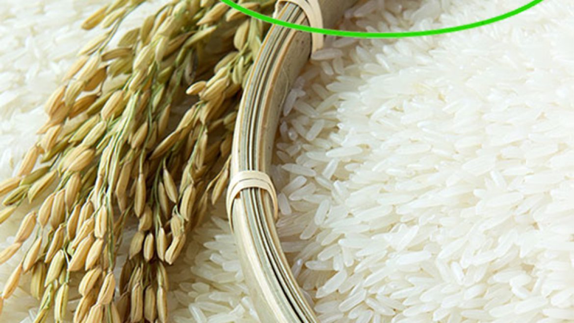 قیمت برنج ارگانیک و چگونگی تهیه آن