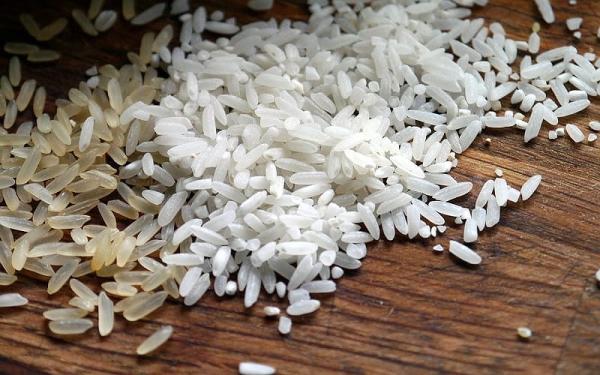خرید برنج ارگانیک ایرانی