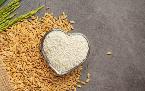 مشخصات برنج ارگانیک ایرانی