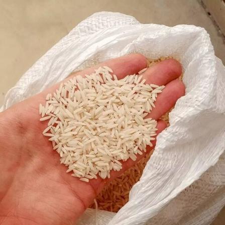 مرجع قیمت انواع برنج محلی + خرید ارزان