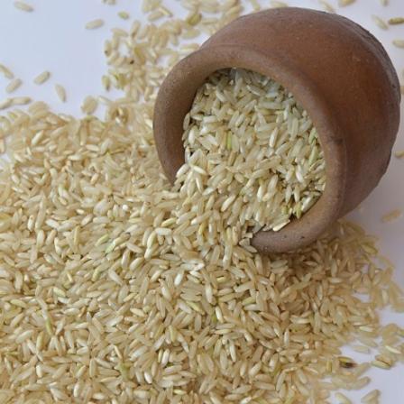 قیمت برنج ارگانیک + خرید و فروش