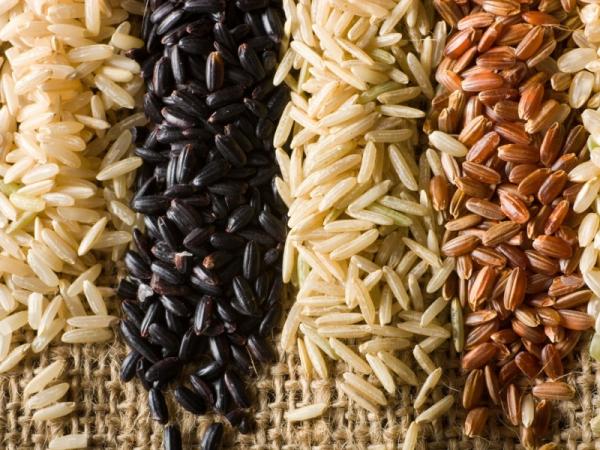 قیمت برنج ایرانی + خرید و فروش