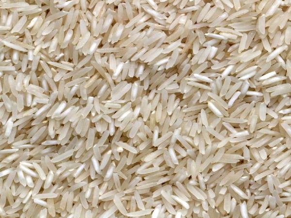 خرید برنج ایرانی