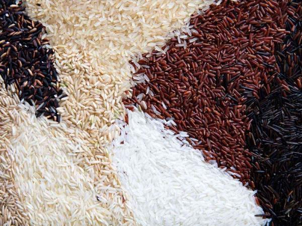مشخصات برنج ایرانی